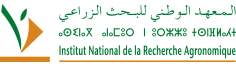 Fouad Mokrini Logo